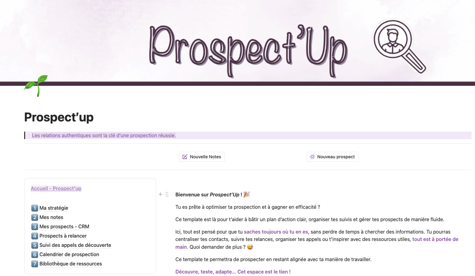Aperçu du template Notion Prospect'Up